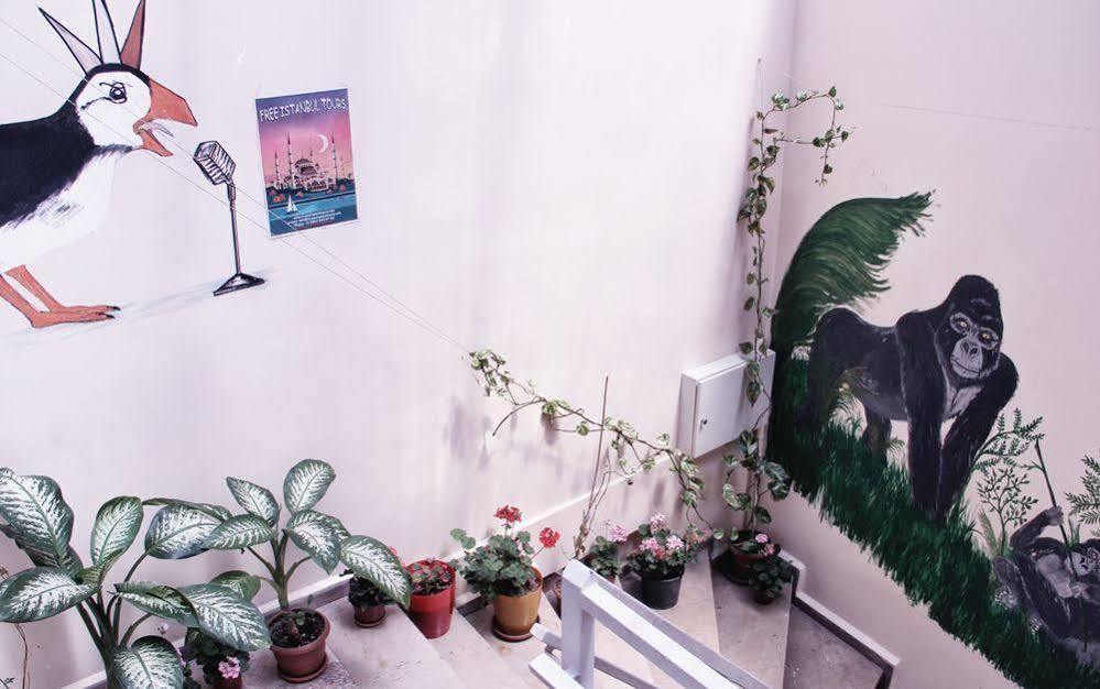 Auberge de jeunesse Puffin Boutique - Istambul Extérieur photo